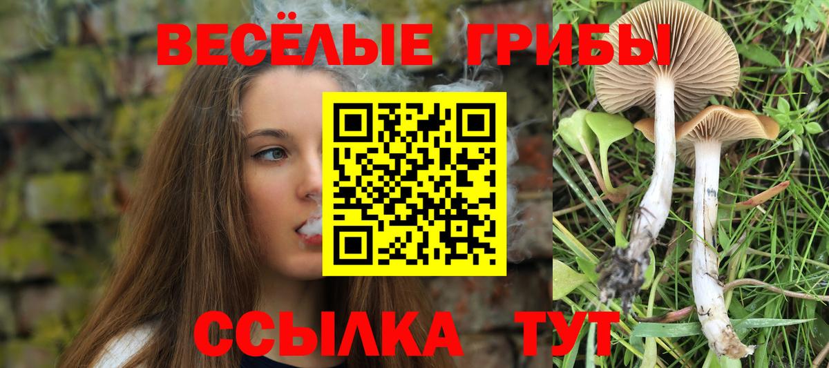 Галлюциногенные грибы MAGIC MUSHROOMS  Вход с VPN  Электросталь 